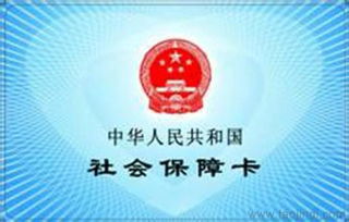 解析企業人力服務 社保掛靠、代理派遣與生育保險全指南